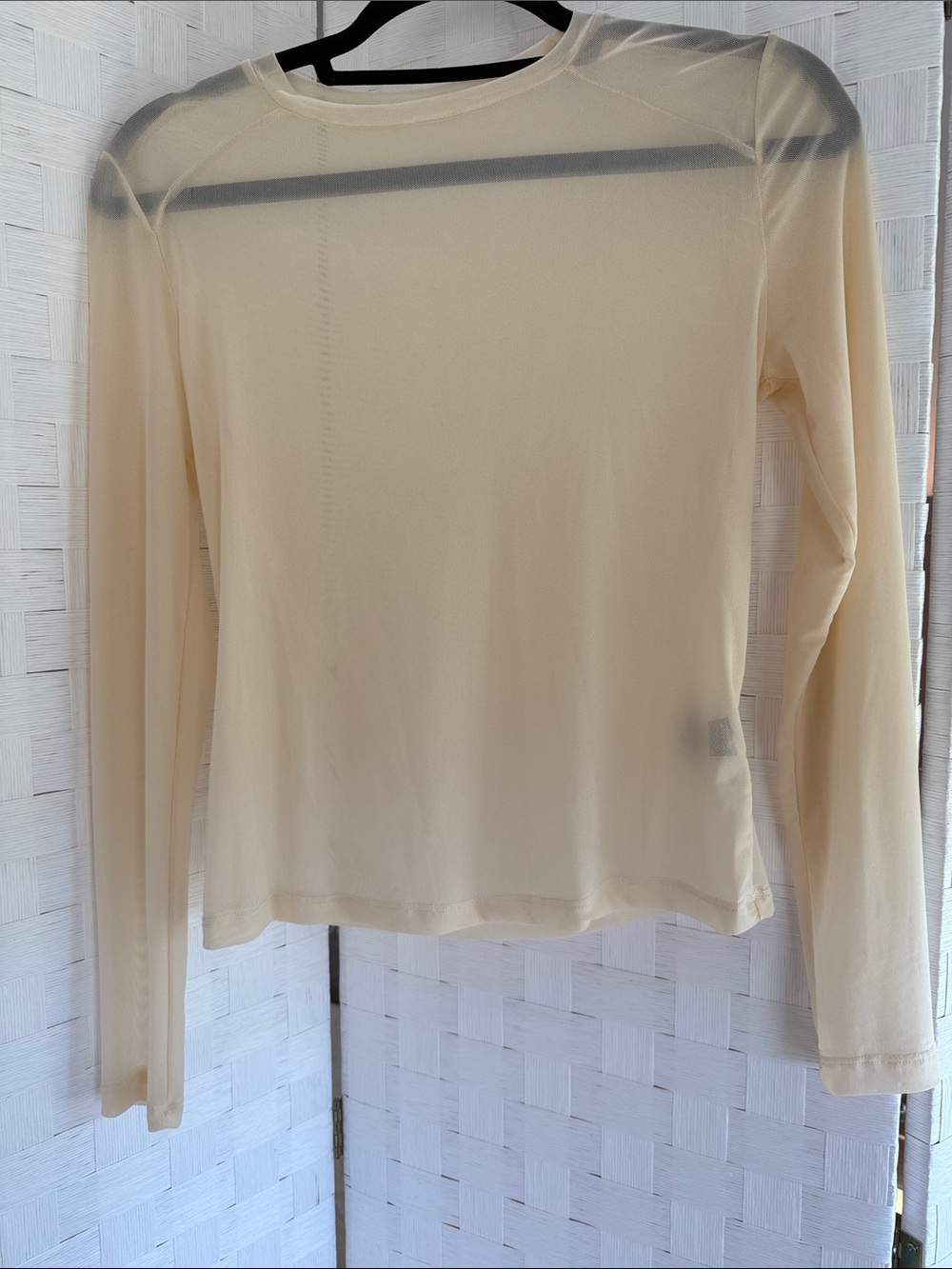 SHEIN Sheer Long Sleeve Crewneck Top - Cream